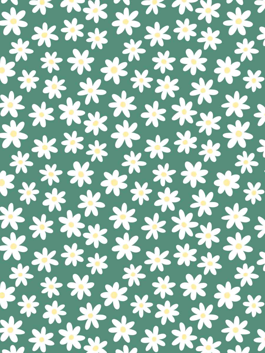 White Daisies and Green Background
