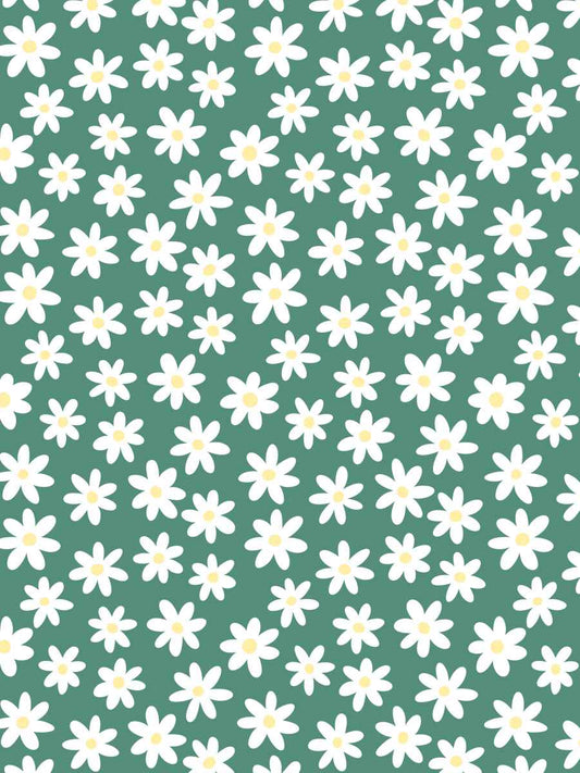 White Daisies and Green Background