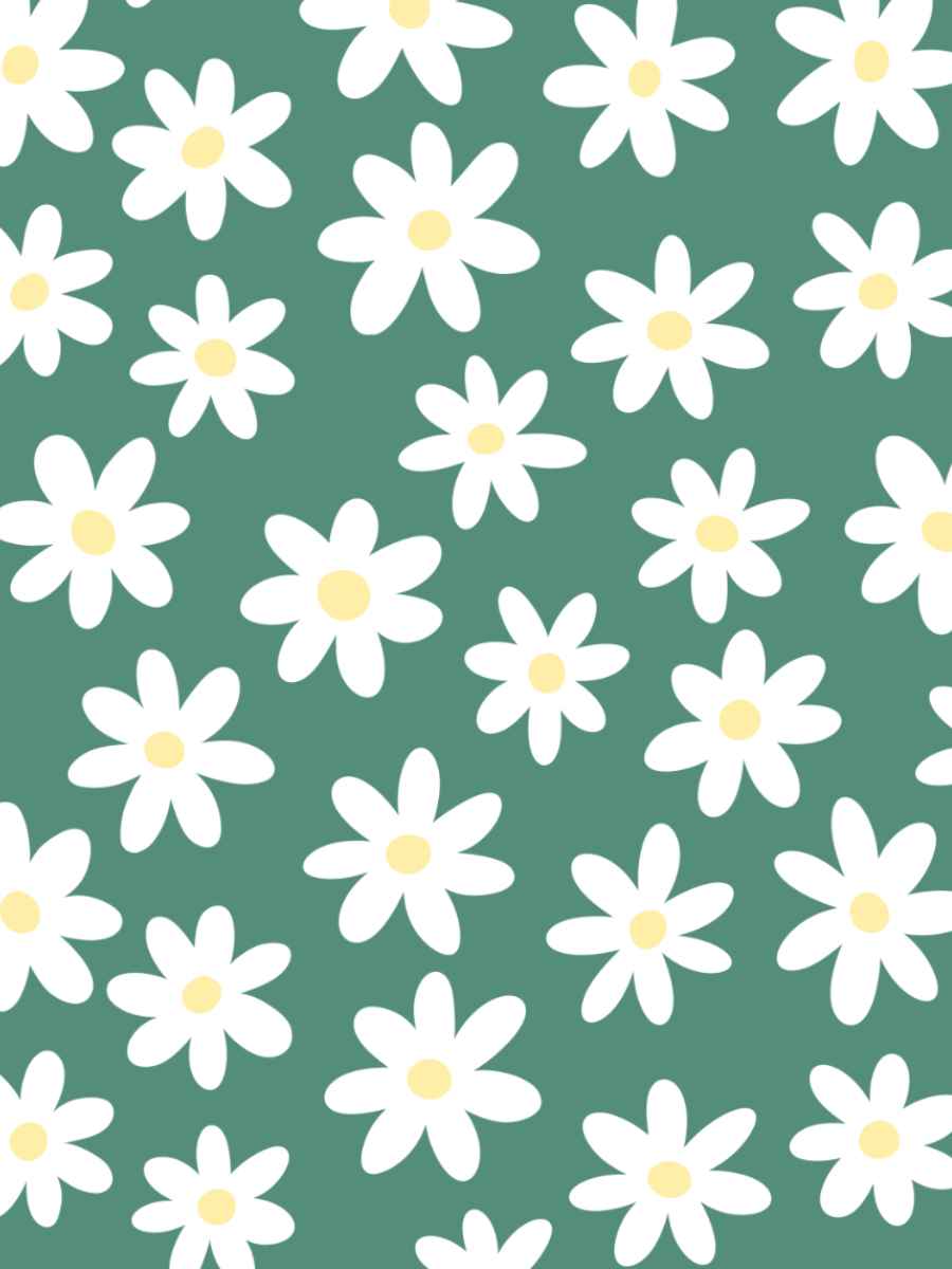 White Daisies and Green Background
