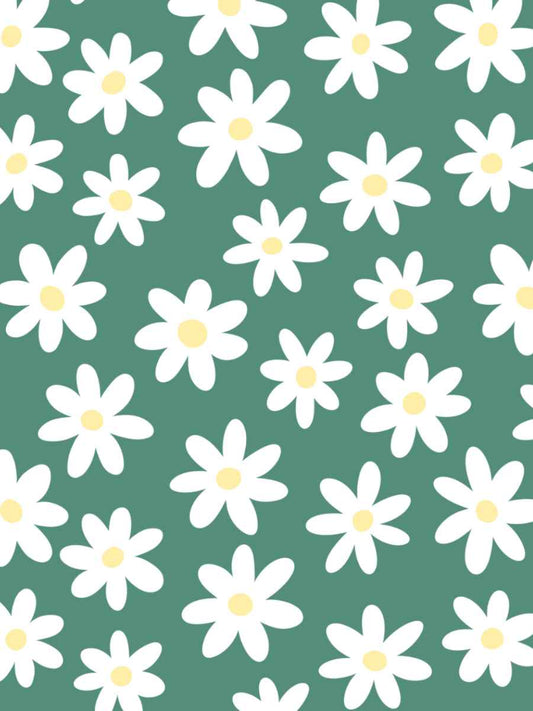 White Daisies and Green Background